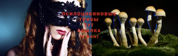гашик Семикаракорск