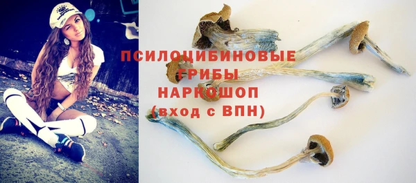 трава Семилуки